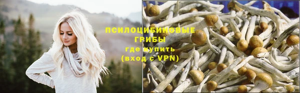 твердый Пестово