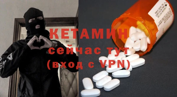 прущие грибы Абинск