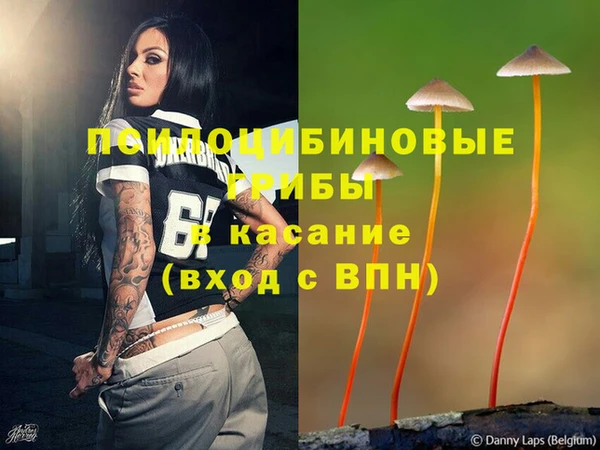 2c-b Абдулино