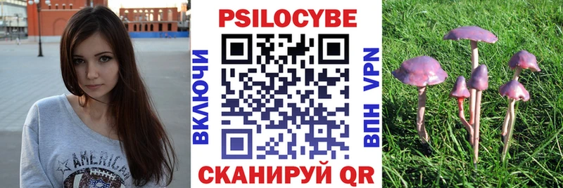 Галлюциногенные грибы GOLDEN TEACHER  где купить наркоту  Азов 
